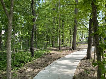 A walking path through the woods in a park